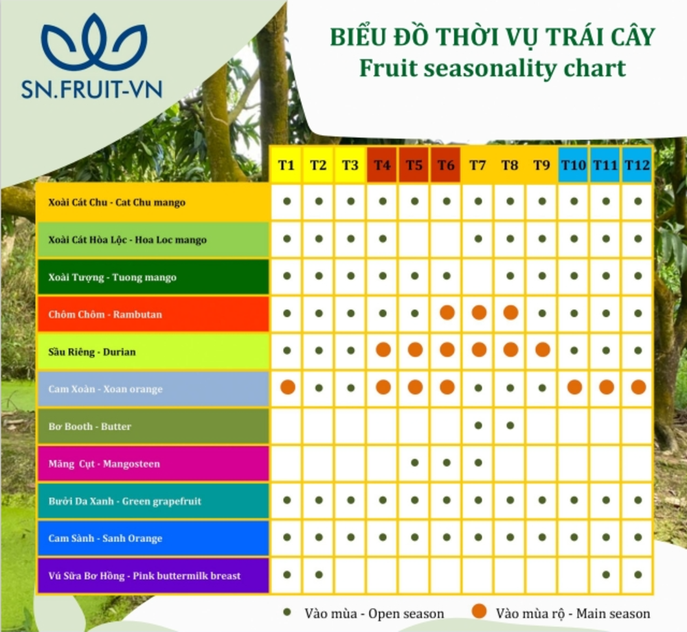 Biểu đồ thời vụ trái cây